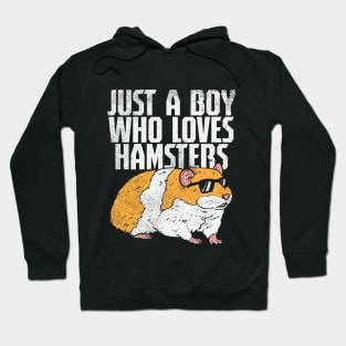 Just A Boy Who Loves Hamsters Hoodie